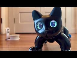 MarsCat Robotic Cat Autonomy