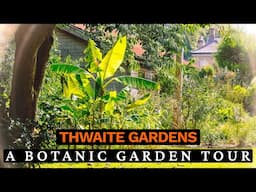 Thwaite Gardens September Tour with Steve Howe - Exotic Plants & Tropical Displays