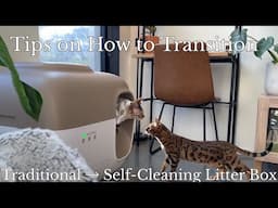 Mastering the Transition: Ordinary to Self-Cleaning Litter Box in 24Hrs | PetSnowy SNOW+ Litter Box