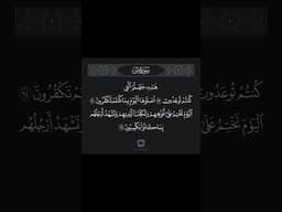 #القرآن_الكريم