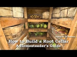 How to Build a Root Cellar to Store Food All Winter – A Homesteader's Guide