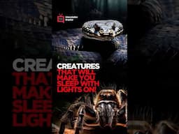 CREATURES THAT WILL MAKE YOU SLEEP WITH LIGHTS ON!