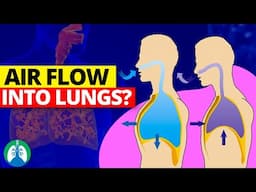 What's REALLY Behind Air Flowing Into Your Lungs?