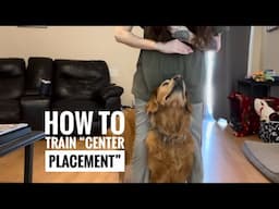 How to train your dog center placement