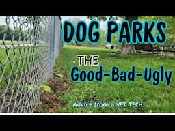 Avoiding Problems at the Dog Park --- Good vs Bad