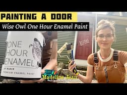 Painting A Door | Using Wise Owl One Hour Enamel Paint