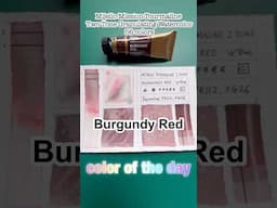 Mijello Tourmaline Two Tone Watercolor - Burgundy Red In-Depth! #art #mijello #watercolor