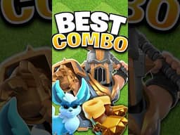 BEST Hero + Pet + Equipment Combo’s to Use!