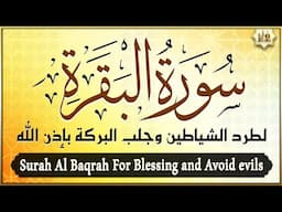 سورة البقرة كاملة لطرد الشياطين من منزلك وجلب البركة رقية للبيت وعلاج للسحر Surat Al Baqara