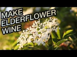 How to Make Elderflower Wine