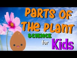 Parts of the Plant | Science for Kids