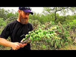 Eating Cactus (in Survival) - Seeds, Pods, Nopal