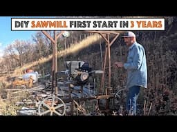 #759 - Our Fallow Deer Buck Is In Rut! (Volume Up) Started DIY Sawmill After 3 Years...