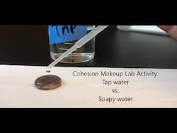 Cohesion (Tap water vs Soapy water) makeup lab activity