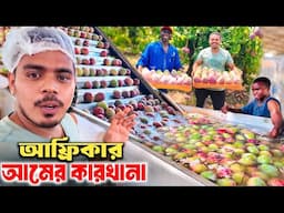 আফ্রিকার 🥭আম বাগান ও কারখানার সম্পূর্ণ প্রসেস | Largest Mango Farm in Mozambique