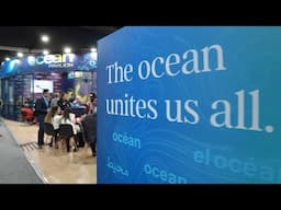 Representing the Ocean at COP29