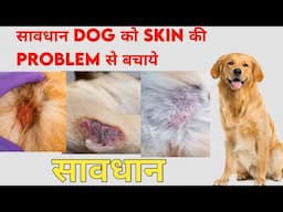 सावधान Dog को Skin की Problem से बचाये | Dog ke charm ke roj ke homemade remedies