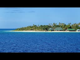 🌴 Beach Ambience on Fiji Tropical Island with Relaxing Waves & Bossa Nova Music for Good Mood