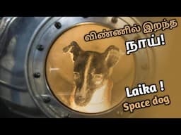 விண்ணில் இறந்த Laikaவின் கதை| Sad story of Laika Dog dead in space