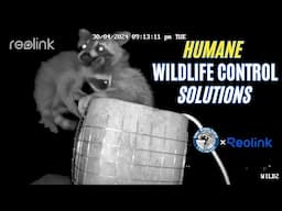 Humane Wildlife Control Solutions: Gates Wildlife x Reolink