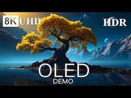 OLED DEMO: 8K HDR Screen & Internet Speed Test