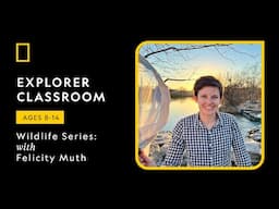 Explorer Classroom Wildlife Series | What’s the Buzz? with Felicity Muth