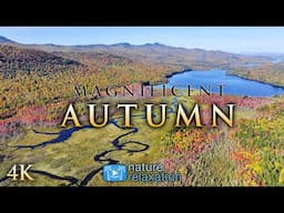 Magnificent Autumn - 2HR 4K Drone Film from America's NE + Piano Music