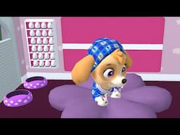 PAW Patrol: A Day in Adventure Bay - Skye - Paw Patrol Preschool Educational Games for Kids