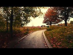 Autumn Walk in Mote Park Maidstone Kent  #uk #autumn #eveningwalk @thetravellersingh #latest