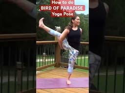 Bird of Paradise Yoga Pose