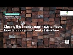 Closing the finance gap in sustainable forest management and silviculture