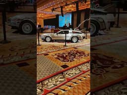 #el #Delorean #palazzo #apexmobile #msgsphere