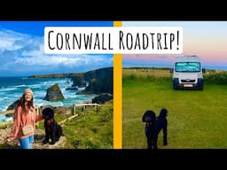 Meet our new addition & road trip Devon & Cornwall with us!