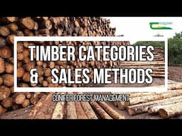 Timber Categories and Sales Methods - conifer forest management