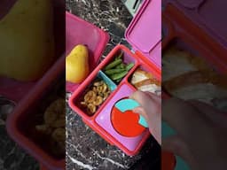 What I packed in my 7 Year Old’s Lunchbox #youtubeshorts #kidslunchbox #lunchbox