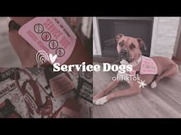 Service Dogs of TikTok!