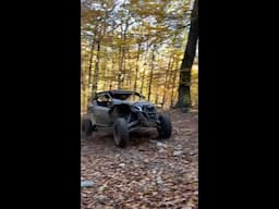 Playing in the Leaves in a Can-Am Maverick X3 Hits Different.. 🔥 🤘 #CanAmMaverickX3 #CanAmOffRoad