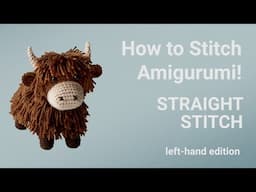 Straight Stitch: Left-Hand Edition