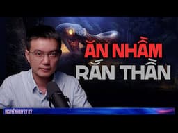 ĂN NHẦM RẮN THẦN BỊ TRẢ THÙ  - Chuyện tâm linh Nguyễn Huy kể