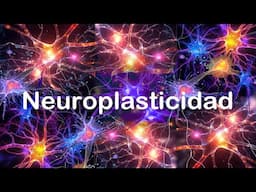 Neuroplasticidad - Reconfigura tu Cerebro Utilizando el Arte Neurográfico