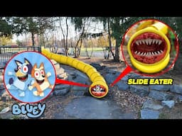 SLIDE EATER EATS BLUEY & BINGO!! (ON CAMERA)