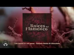 Raíces del Flamenco (Audio Álbum Oficial)