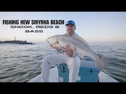 Bull Reds, Snook and Largemouth Bass in New Smyrna! Old Florida Tour in 17 Whaler