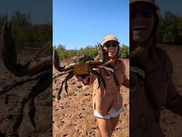 GIANT MUDCRAB Barehanded 💁🏽‍♀️