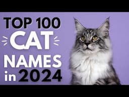 Cat Names BLOWING UP in 2024!🎉 Male and Female Cat Names