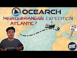 Did OCEARCH Look for Great White Sharks in the Wrong Place?