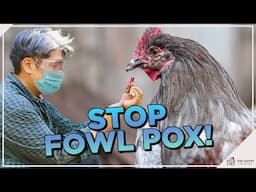 Fowl Pox in Chickens: Symptoms, Treatment, and Prevention