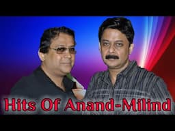 Hits Of Anand-Milind | Bollywood Evergreen Songs | Audio Jukebox