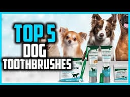 ✅Top 5 Best Dog Toothbrushes in 2025