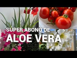 SÚPER ABONO DE ÁLOE VERA, SABÍLA